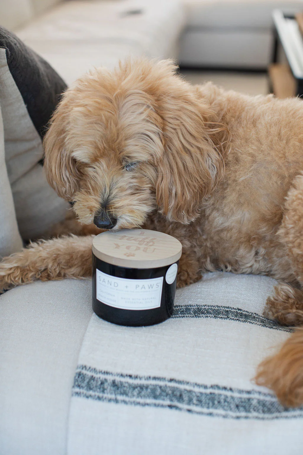 Sand + Paws California Beach House 12 oz scented candle - Image 5