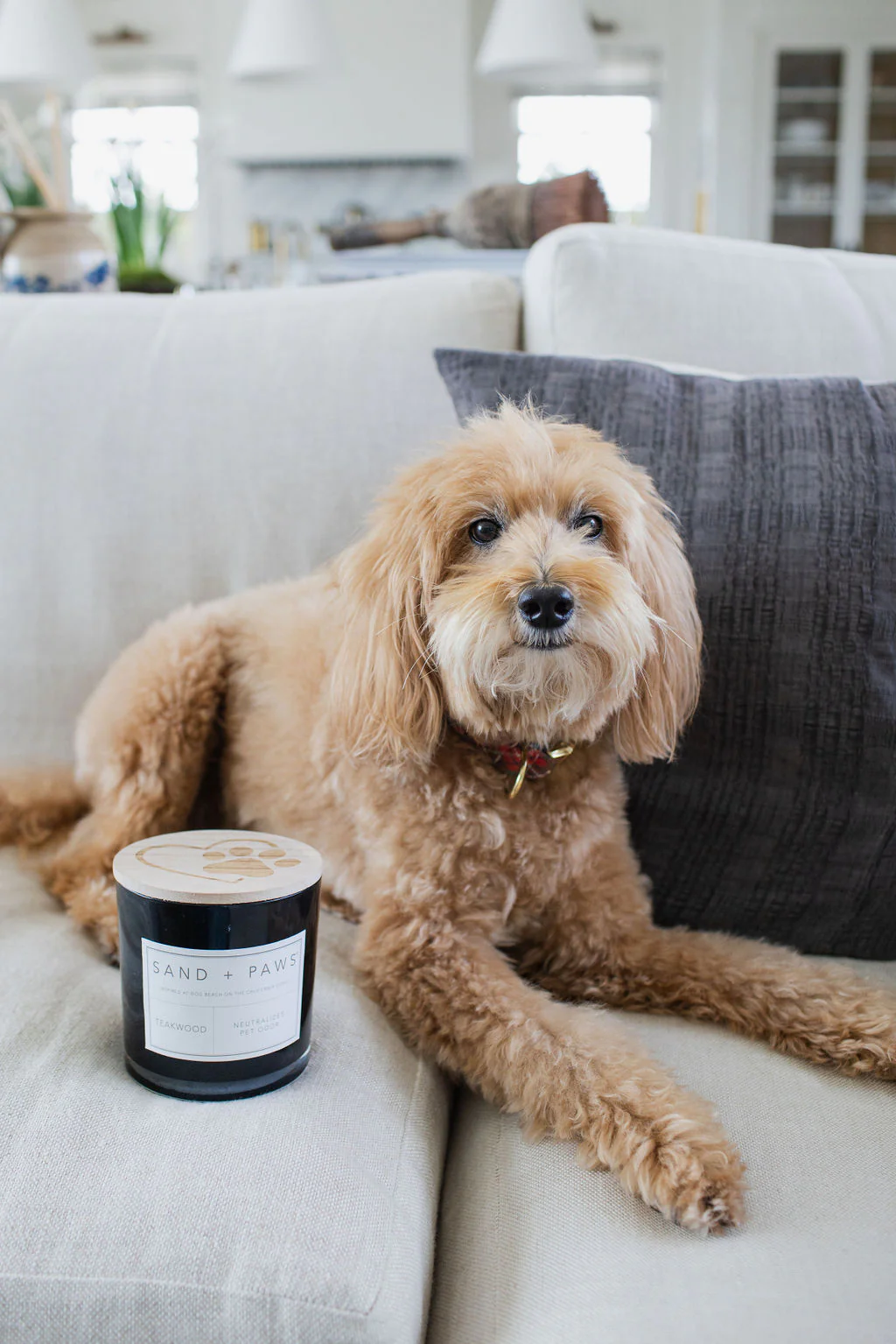 Sand + Paws Teakwood 21 oz scented candle - Image 5