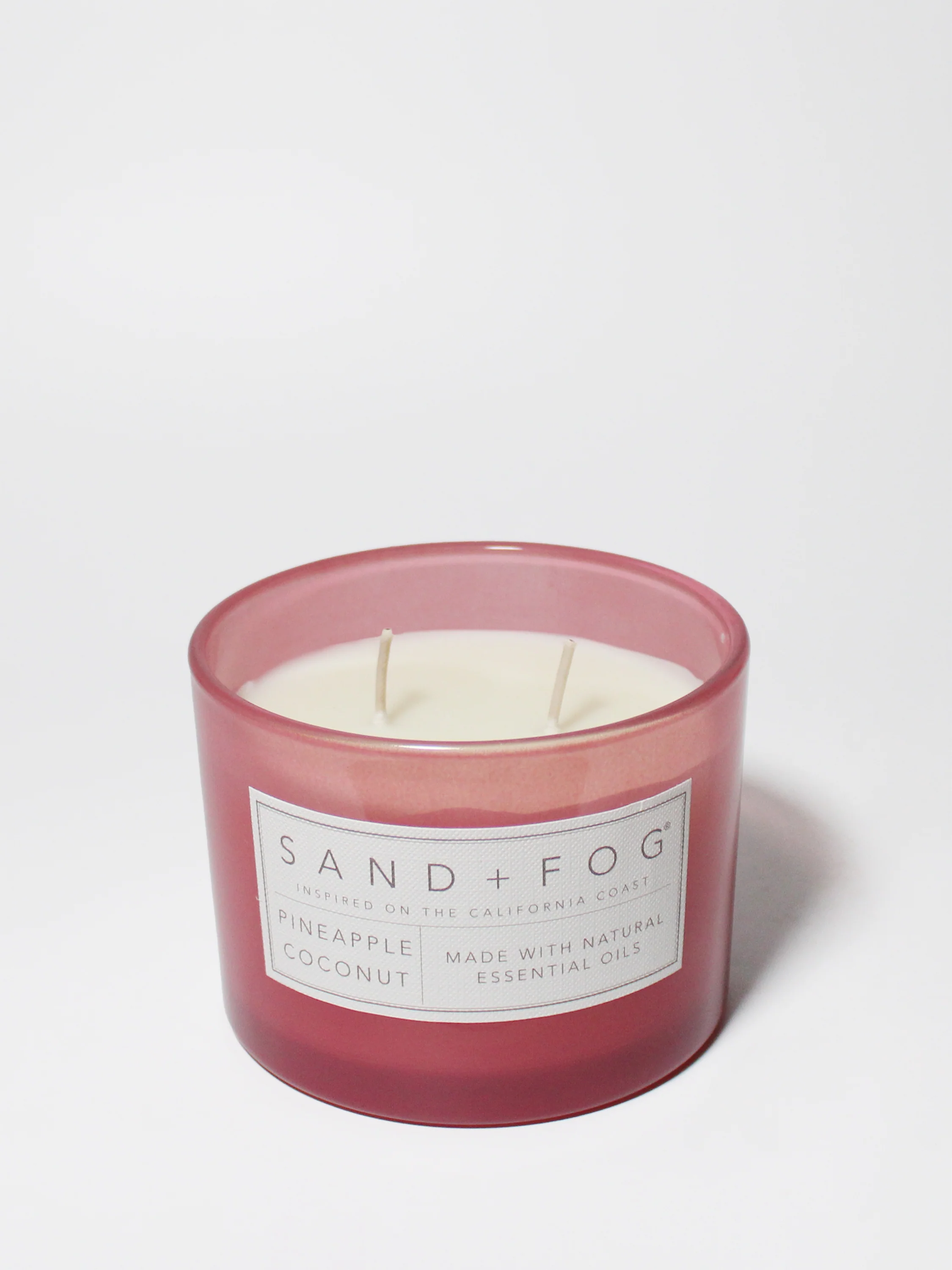 Pineapple Coconut 12 oz scented candle - Image 3