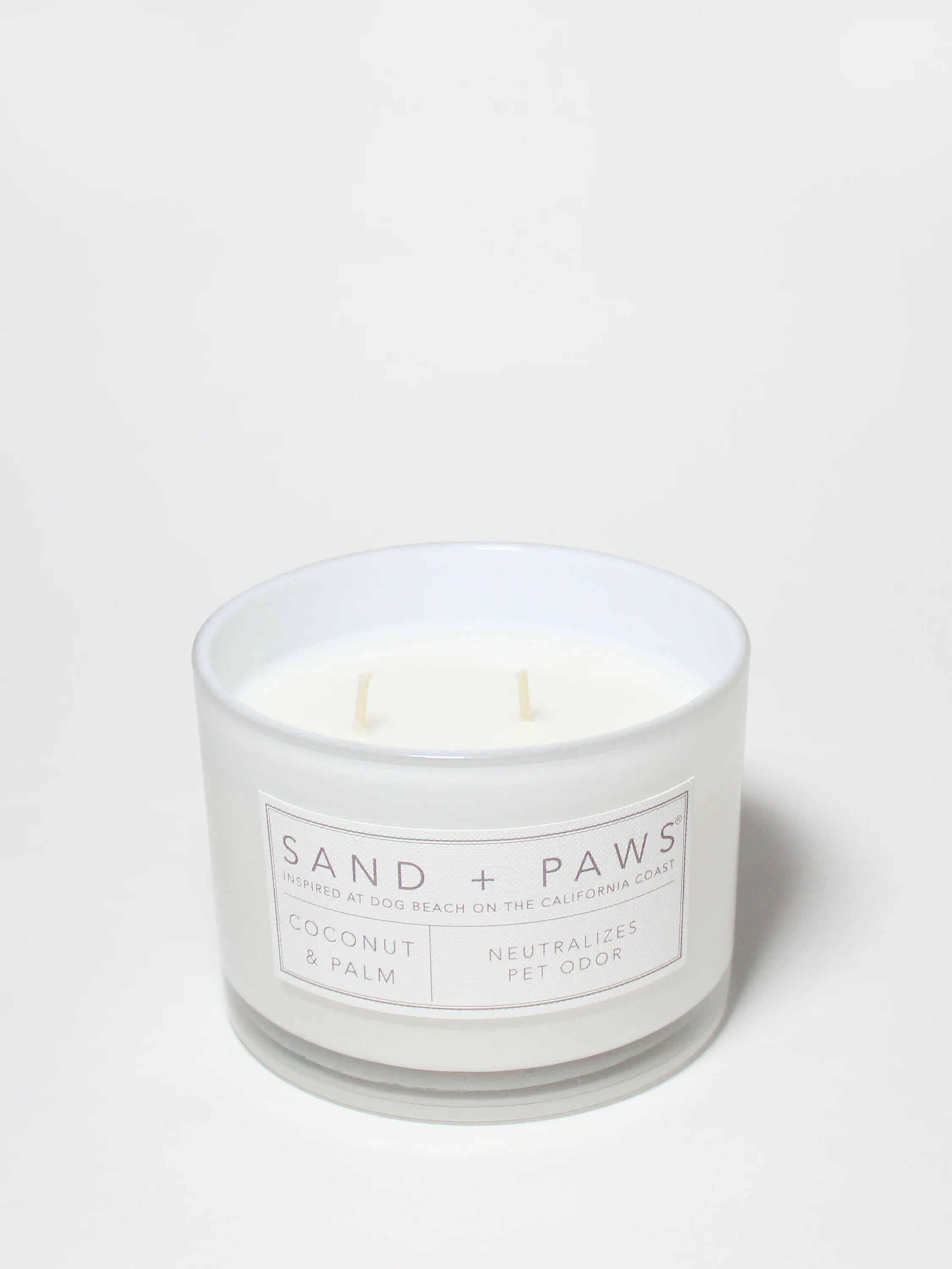 Sand + Paws Coconut & Palm 12 oz scented candle - Image 3