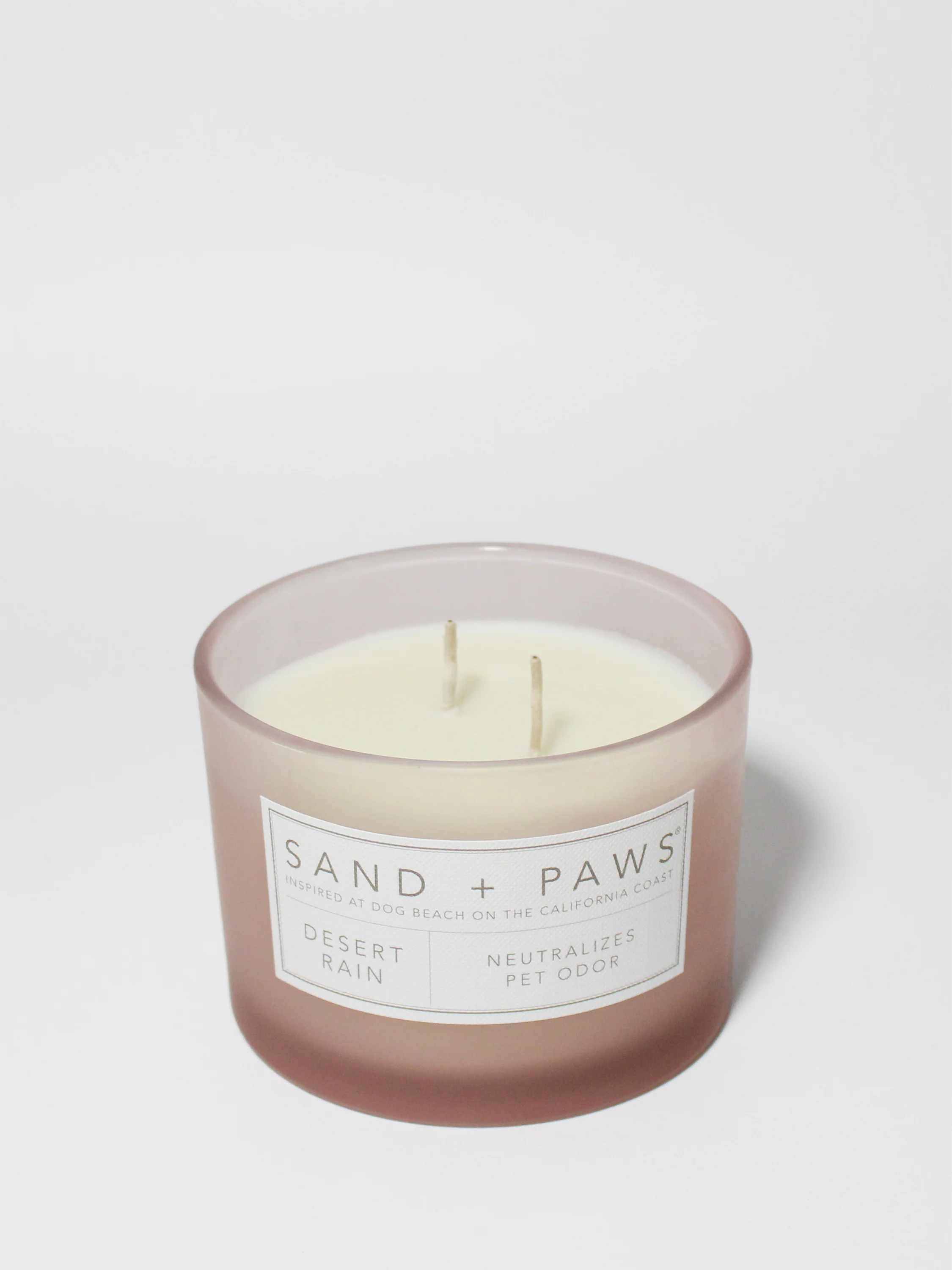 Sand + Paws Desert Rain 12 oz scented candle - Image 3