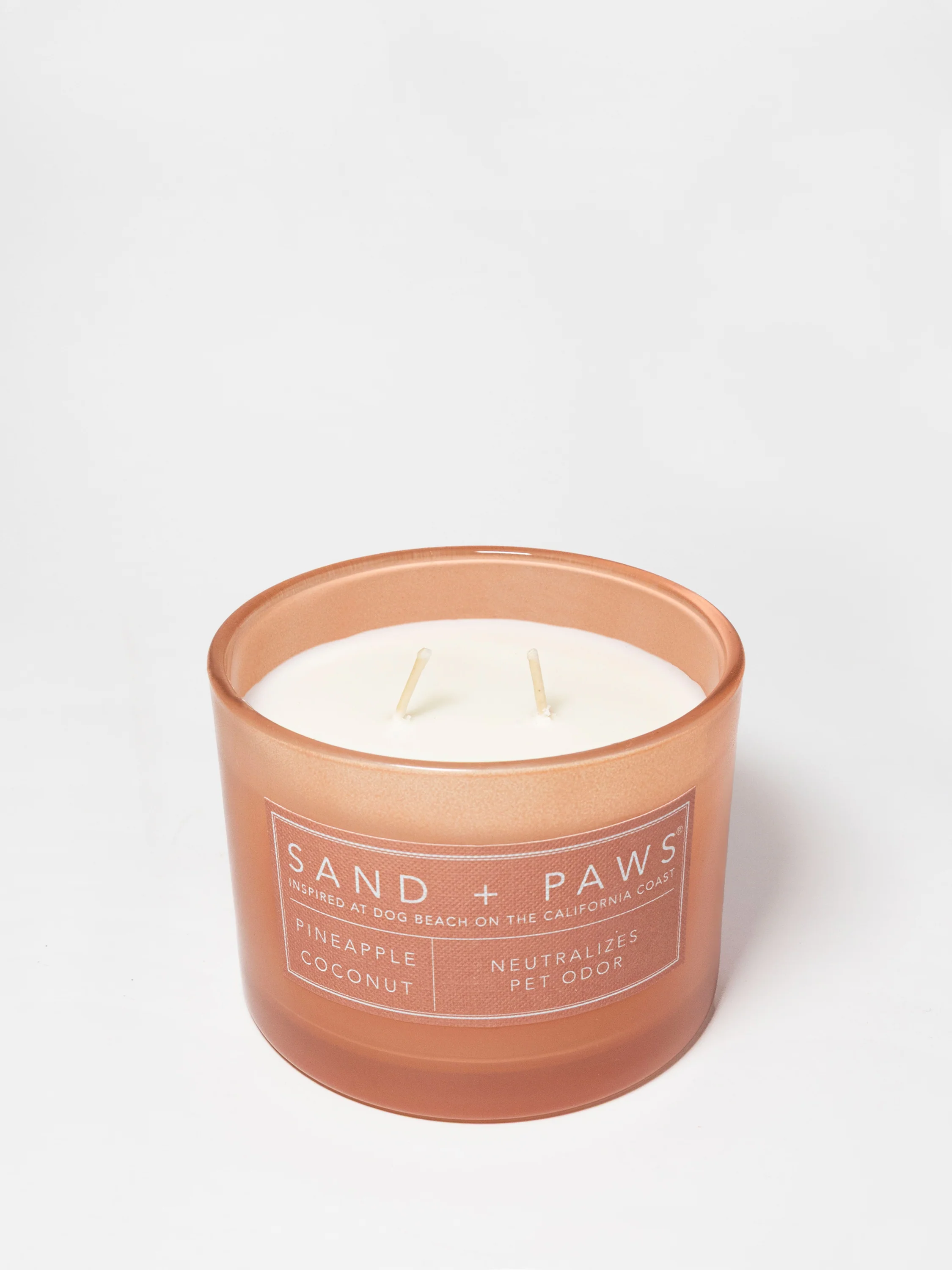 Sand + Paws Pineapple Coconut 12 oz scented candle - Image 3