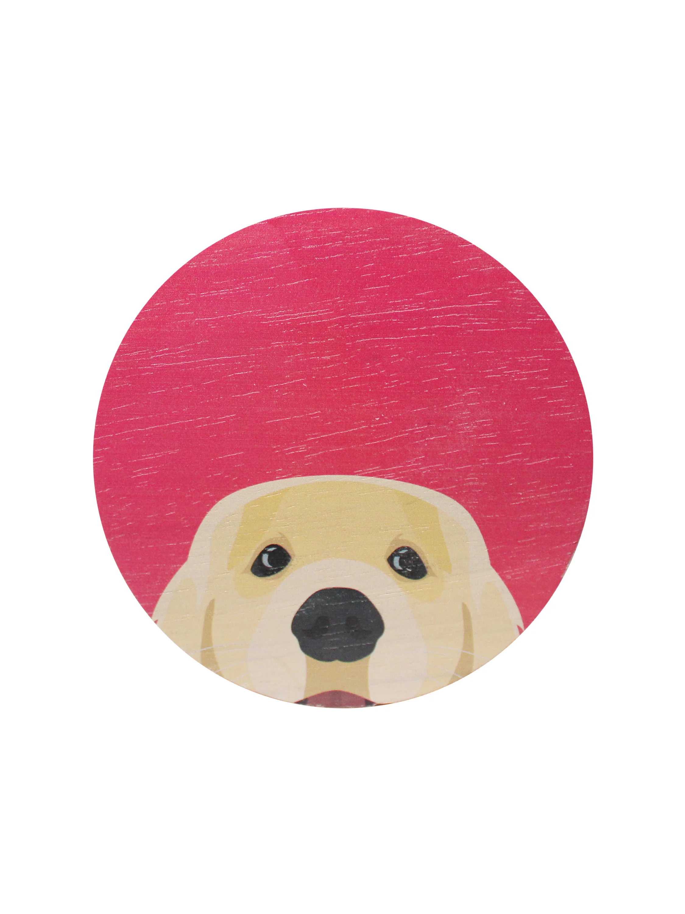 Sand + Paws Sun-n-Fun 12 oz scented candle - Image 4