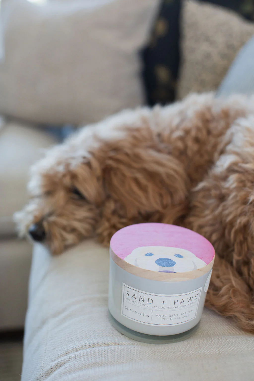 Sand + Paws Sun-n-Fun 12 oz scented candle - Image 5