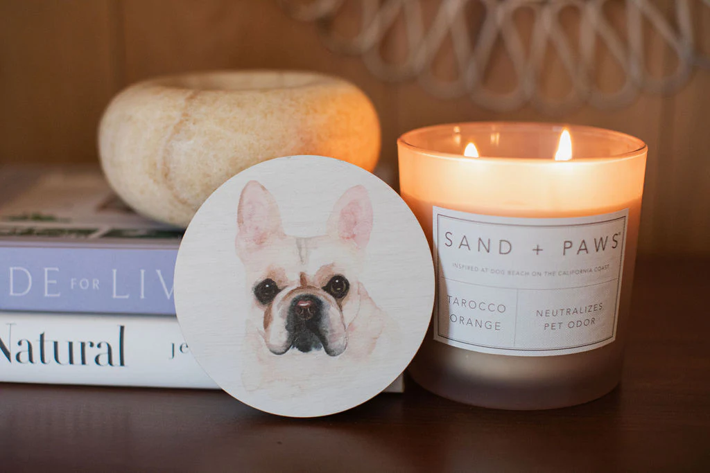 Sand + Paws Tarocco Orange 21 oz scented candle - Image 5