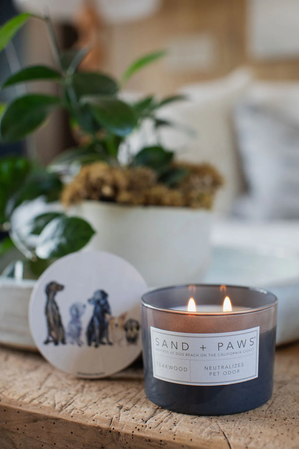 Sand + Paws Teakwood 12 oz scented candle - Image 5
