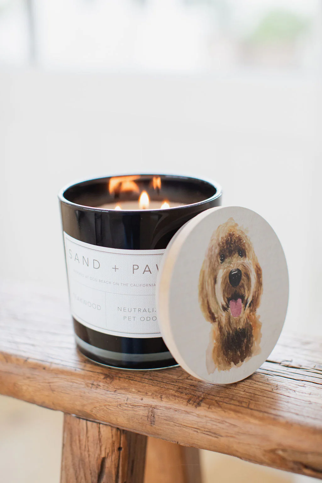 Sand + Paws Teakwood 21 oz scented candle - Image 5